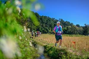 BIB: 
                            <button type="button" onclick="openModal(26580917)" class="btn btn-primary btn-sm float-right btn-popup" data-toggle="modal" data-target=".modal-high-quality">
                        <i class="fas fa-shopping-cart"></i> Add to Cart
                    </button>
                                            <button type="button" onclick="isThisMe(26580917, true)" class="btn btn-success btn-sm float-right btn-popup btn-isme hidden" data-toggle="tooltip" data-placement="bottom" title="นี่คือรูปของคุณใช่ไหม คลิกที่นี่เพื่อเอาเข้าอัลบั้ม">
                        <i class="fas fa-plus"></i> Add to album
                    </button>
                    <button type="button" onclick="isThisMe(26580917, false)" class="btn btn-warning btn-sm float-right btn-popup btn-isnotme hidden">
                        <i class="fas fa-ban"></i> Remove from album
                    </button>