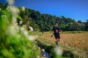 BIB: 
                            <button type="button" onclick="openModal(26574442)" class="btn btn-primary btn-sm float-right btn-popup" data-toggle="modal" data-target=".modal-high-quality">
                        <i class="fas fa-shopping-cart"></i> Add to Cart
                    </button>
                                            <button type="button" onclick="isThisMe(26574442, true)" class="btn btn-success btn-sm float-right btn-popup btn-isme hidden" data-toggle="tooltip" data-placement="bottom" title="นี่คือรูปของคุณใช่ไหม คลิกที่นี่เพื่อเอาเข้าอัลบั้ม">
                        <i class="fas fa-plus"></i> Add to album
                    </button>
                    <button type="button" onclick="isThisMe(26574442, false)" class="btn btn-warning btn-sm float-right btn-popup btn-isnotme hidden">
                        <i class="fas fa-ban"></i> Remove from album
                    </button>