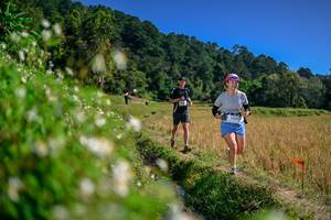 BIB: 
                            <button type="button" onclick="openModal(26582525)" class="btn btn-primary btn-sm float-right btn-popup" data-toggle="modal" data-target=".modal-high-quality">
                        <i class="fas fa-shopping-cart"></i> Add to Cart
                    </button>
                                            <button type="button" onclick="isThisMe(26582525, true)" class="btn btn-success btn-sm float-right btn-popup btn-isme hidden" data-toggle="tooltip" data-placement="bottom" title="นี่คือรูปของคุณใช่ไหม คลิกที่นี่เพื่อเอาเข้าอัลบั้ม">
                        <i class="fas fa-plus"></i> Add to album
                    </button>
                    <button type="button" onclick="isThisMe(26582525, false)" class="btn btn-warning btn-sm float-right btn-popup btn-isnotme hidden">
                        <i class="fas fa-ban"></i> Remove from album
                    </button>