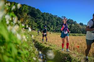 BIB: 
                            <button type="button" onclick="openModal(26571775)" class="btn btn-primary btn-sm float-right btn-popup" data-toggle="modal" data-target=".modal-high-quality">
                        <i class="fas fa-shopping-cart"></i> Add to Cart
                    </button>
                                            <button type="button" onclick="isThisMe(26571775, true)" class="btn btn-success btn-sm float-right btn-popup btn-isme hidden" data-toggle="tooltip" data-placement="bottom" title="นี่คือรูปของคุณใช่ไหม คลิกที่นี่เพื่อเอาเข้าอัลบั้ม">
                        <i class="fas fa-plus"></i> Add to album
                    </button>
                    <button type="button" onclick="isThisMe(26571775, false)" class="btn btn-warning btn-sm float-right btn-popup btn-isnotme hidden">
                        <i class="fas fa-ban"></i> Remove from album
                    </button>