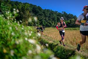 BIB: 
                            <button type="button" onclick="openModal(26582122)" class="btn btn-primary btn-sm float-right btn-popup" data-toggle="modal" data-target=".modal-high-quality">
                        <i class="fas fa-shopping-cart"></i> Add to Cart
                    </button>
                                            <button type="button" onclick="isThisMe(26582122, true)" class="btn btn-success btn-sm float-right btn-popup btn-isme hidden" data-toggle="tooltip" data-placement="bottom" title="นี่คือรูปของคุณใช่ไหม คลิกที่นี่เพื่อเอาเข้าอัลบั้ม">
                        <i class="fas fa-plus"></i> Add to album
                    </button>
                    <button type="button" onclick="isThisMe(26582122, false)" class="btn btn-warning btn-sm float-right btn-popup btn-isnotme hidden">
                        <i class="fas fa-ban"></i> Remove from album
                    </button>