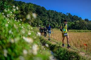 BIB: 
                            <button type="button" onclick="openModal(26583123)" class="btn btn-primary btn-sm float-right btn-popup" data-toggle="modal" data-target=".modal-high-quality">
                        <i class="fas fa-shopping-cart"></i> Add to Cart
                    </button>
                                            <button type="button" onclick="isThisMe(26583123, true)" class="btn btn-success btn-sm float-right btn-popup btn-isme hidden" data-toggle="tooltip" data-placement="bottom" title="นี่คือรูปของคุณใช่ไหม คลิกที่นี่เพื่อเอาเข้าอัลบั้ม">
                        <i class="fas fa-plus"></i> Add to album
                    </button>
                    <button type="button" onclick="isThisMe(26583123, false)" class="btn btn-warning btn-sm float-right btn-popup btn-isnotme hidden">
                        <i class="fas fa-ban"></i> Remove from album
                    </button>