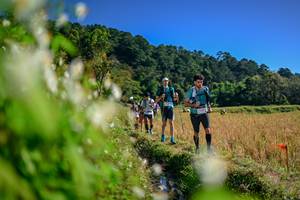 BIB: 
                            <button type="button" onclick="openModal(26573252)" class="btn btn-primary btn-sm float-right btn-popup" data-toggle="modal" data-target=".modal-high-quality">
                        <i class="fas fa-shopping-cart"></i> Add to Cart
                    </button>
                                            <button type="button" onclick="isThisMe(26573252, true)" class="btn btn-success btn-sm float-right btn-popup btn-isme hidden" data-toggle="tooltip" data-placement="bottom" title="นี่คือรูปของคุณใช่ไหม คลิกที่นี่เพื่อเอาเข้าอัลบั้ม">
                        <i class="fas fa-plus"></i> Add to album
                    </button>
                    <button type="button" onclick="isThisMe(26573252, false)" class="btn btn-warning btn-sm float-right btn-popup btn-isnotme hidden">
                        <i class="fas fa-ban"></i> Remove from album
                    </button>