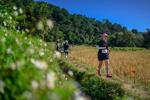 BIB: 
                            <button type="button" onclick="openModal(26582672)" class="btn btn-primary btn-sm float-right btn-popup" data-toggle="modal" data-target=".modal-high-quality">
                        <i class="fas fa-shopping-cart"></i> Add to Cart
                    </button>
                                            <button type="button" onclick="isThisMe(26582672, true)" class="btn btn-success btn-sm float-right btn-popup btn-isme hidden" data-toggle="tooltip" data-placement="bottom" title="นี่คือรูปของคุณใช่ไหม คลิกที่นี่เพื่อเอาเข้าอัลบั้ม">
                        <i class="fas fa-plus"></i> Add to album
                    </button>
                    <button type="button" onclick="isThisMe(26582672, false)" class="btn btn-warning btn-sm float-right btn-popup btn-isnotme hidden">
                        <i class="fas fa-ban"></i> Remove from album
                    </button>