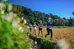 BIB: 
                            <button type="button" onclick="openModal(26571900)" class="btn btn-primary btn-sm float-right btn-popup" data-toggle="modal" data-target=".modal-high-quality">
                        <i class="fas fa-shopping-cart"></i> Add to Cart
                    </button>
                                            <button type="button" onclick="isThisMe(26571900, true)" class="btn btn-success btn-sm float-right btn-popup btn-isme hidden" data-toggle="tooltip" data-placement="bottom" title="นี่คือรูปของคุณใช่ไหม คลิกที่นี่เพื่อเอาเข้าอัลบั้ม">
                        <i class="fas fa-plus"></i> Add to album
                    </button>
                    <button type="button" onclick="isThisMe(26571900, false)" class="btn btn-warning btn-sm float-right btn-popup btn-isnotme hidden">
                        <i class="fas fa-ban"></i> Remove from album
                    </button>