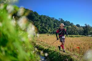 BIB: 
                            <button type="button" onclick="openModal(26572008)" class="btn btn-primary btn-sm float-right btn-popup" data-toggle="modal" data-target=".modal-high-quality">
                        <i class="fas fa-shopping-cart"></i> Add to Cart
                    </button>
                                            <button type="button" onclick="isThisMe(26572008, true)" class="btn btn-success btn-sm float-right btn-popup btn-isme hidden" data-toggle="tooltip" data-placement="bottom" title="นี่คือรูปของคุณใช่ไหม คลิกที่นี่เพื่อเอาเข้าอัลบั้ม">
                        <i class="fas fa-plus"></i> Add to album
                    </button>
                    <button type="button" onclick="isThisMe(26572008, false)" class="btn btn-warning btn-sm float-right btn-popup btn-isnotme hidden">
                        <i class="fas fa-ban"></i> Remove from album
                    </button>