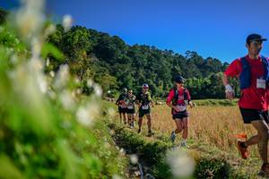 BIB: 
                            <button type="button" onclick="openModal(26572663)" class="btn btn-primary btn-sm float-right btn-popup" data-toggle="modal" data-target=".modal-high-quality">
                        <i class="fas fa-shopping-cart"></i> Add to Cart
                    </button>
                                            <button type="button" onclick="isThisMe(26572663, true)" class="btn btn-success btn-sm float-right btn-popup btn-isme hidden" data-toggle="tooltip" data-placement="bottom" title="นี่คือรูปของคุณใช่ไหม คลิกที่นี่เพื่อเอาเข้าอัลบั้ม">
                        <i class="fas fa-plus"></i> Add to album
                    </button>
                    <button type="button" onclick="isThisMe(26572663, false)" class="btn btn-warning btn-sm float-right btn-popup btn-isnotme hidden">
                        <i class="fas fa-ban"></i> Remove from album
                    </button>