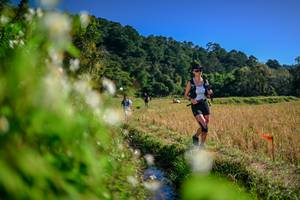 BIB: 
                            <button type="button" onclick="openModal(26574418)" class="btn btn-primary btn-sm float-right btn-popup" data-toggle="modal" data-target=".modal-high-quality">
                        <i class="fas fa-shopping-cart"></i> Add to Cart
                    </button>
                                            <button type="button" onclick="isThisMe(26574418, true)" class="btn btn-success btn-sm float-right btn-popup btn-isme hidden" data-toggle="tooltip" data-placement="bottom" title="นี่คือรูปของคุณใช่ไหม คลิกที่นี่เพื่อเอาเข้าอัลบั้ม">
                        <i class="fas fa-plus"></i> Add to album
                    </button>
                    <button type="button" onclick="isThisMe(26574418, false)" class="btn btn-warning btn-sm float-right btn-popup btn-isnotme hidden">
                        <i class="fas fa-ban"></i> Remove from album
                    </button>