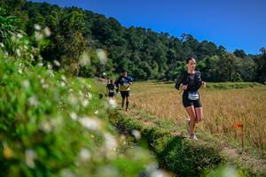 BIB: 
                            <button type="button" onclick="openModal(26582135)" class="btn btn-primary btn-sm float-right btn-popup" data-toggle="modal" data-target=".modal-high-quality">
                        <i class="fas fa-shopping-cart"></i> Add to Cart
                    </button>
                                            <button type="button" onclick="isThisMe(26582135, true)" class="btn btn-success btn-sm float-right btn-popup btn-isme hidden" data-toggle="tooltip" data-placement="bottom" title="นี่คือรูปของคุณใช่ไหม คลิกที่นี่เพื่อเอาเข้าอัลบั้ม">
                        <i class="fas fa-plus"></i> Add to album
                    </button>
                    <button type="button" onclick="isThisMe(26582135, false)" class="btn btn-warning btn-sm float-right btn-popup btn-isnotme hidden">
                        <i class="fas fa-ban"></i> Remove from album
                    </button>