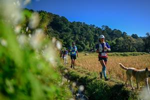 BIB: 
                            <button type="button" onclick="openModal(26572128)" class="btn btn-primary btn-sm float-right btn-popup" data-toggle="modal" data-target=".modal-high-quality">
                        <i class="fas fa-shopping-cart"></i> Add to Cart
                    </button>
                                            <button type="button" onclick="isThisMe(26572128, true)" class="btn btn-success btn-sm float-right btn-popup btn-isme hidden" data-toggle="tooltip" data-placement="bottom" title="นี่คือรูปของคุณใช่ไหม คลิกที่นี่เพื่อเอาเข้าอัลบั้ม">
                        <i class="fas fa-plus"></i> Add to album
                    </button>
                    <button type="button" onclick="isThisMe(26572128, false)" class="btn btn-warning btn-sm float-right btn-popup btn-isnotme hidden">
                        <i class="fas fa-ban"></i> Remove from album
                    </button>