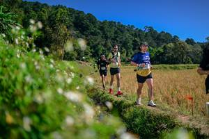 BIB: 
                            <button type="button" onclick="openModal(26582297)" class="btn btn-primary btn-sm float-right btn-popup" data-toggle="modal" data-target=".modal-high-quality">
                        <i class="fas fa-shopping-cart"></i> Add to Cart
                    </button>
                                            <button type="button" onclick="isThisMe(26582297, true)" class="btn btn-success btn-sm float-right btn-popup btn-isme hidden" data-toggle="tooltip" data-placement="bottom" title="นี่คือรูปของคุณใช่ไหม คลิกที่นี่เพื่อเอาเข้าอัลบั้ม">
                        <i class="fas fa-plus"></i> Add to album
                    </button>
                    <button type="button" onclick="isThisMe(26582297, false)" class="btn btn-warning btn-sm float-right btn-popup btn-isnotme hidden">
                        <i class="fas fa-ban"></i> Remove from album
                    </button>