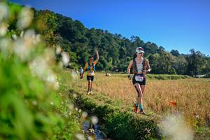 BIB: 
                            <button type="button" onclick="openModal(26571948)" class="btn btn-primary btn-sm float-right btn-popup" data-toggle="modal" data-target=".modal-high-quality">
                        <i class="fas fa-shopping-cart"></i> Add to Cart
                    </button>
                                            <button type="button" onclick="isThisMe(26571948, true)" class="btn btn-success btn-sm float-right btn-popup btn-isme hidden" data-toggle="tooltip" data-placement="bottom" title="นี่คือรูปของคุณใช่ไหม คลิกที่นี่เพื่อเอาเข้าอัลบั้ม">
                        <i class="fas fa-plus"></i> Add to album
                    </button>
                    <button type="button" onclick="isThisMe(26571948, false)" class="btn btn-warning btn-sm float-right btn-popup btn-isnotme hidden">
                        <i class="fas fa-ban"></i> Remove from album
                    </button>