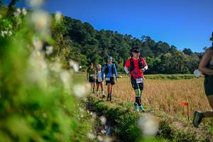 BIB: 
                            <button type="button" onclick="openModal(26574365)" class="btn btn-primary btn-sm float-right btn-popup" data-toggle="modal" data-target=".modal-high-quality">
                        <i class="fas fa-shopping-cart"></i> Add to Cart
                    </button>
                                            <button type="button" onclick="isThisMe(26574365, true)" class="btn btn-success btn-sm float-right btn-popup btn-isme hidden" data-toggle="tooltip" data-placement="bottom" title="นี่คือรูปของคุณใช่ไหม คลิกที่นี่เพื่อเอาเข้าอัลบั้ม">
                        <i class="fas fa-plus"></i> Add to album
                    </button>
                    <button type="button" onclick="isThisMe(26574365, false)" class="btn btn-warning btn-sm float-right btn-popup btn-isnotme hidden">
                        <i class="fas fa-ban"></i> Remove from album
                    </button>