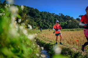 BIB: 
                            <button type="button" onclick="openModal(26574206)" class="btn btn-primary btn-sm float-right btn-popup" data-toggle="modal" data-target=".modal-high-quality">
                        <i class="fas fa-shopping-cart"></i> Add to Cart
                    </button>
                                            <button type="button" onclick="isThisMe(26574206, true)" class="btn btn-success btn-sm float-right btn-popup btn-isme hidden" data-toggle="tooltip" data-placement="bottom" title="นี่คือรูปของคุณใช่ไหม คลิกที่นี่เพื่อเอาเข้าอัลบั้ม">
                        <i class="fas fa-plus"></i> Add to album
                    </button>
                    <button type="button" onclick="isThisMe(26574206, false)" class="btn btn-warning btn-sm float-right btn-popup btn-isnotme hidden">
                        <i class="fas fa-ban"></i> Remove from album
                    </button>