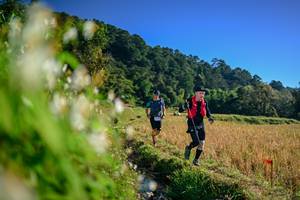 BIB: 
                            <button type="button" onclick="openModal(26571480)" class="btn btn-primary btn-sm float-right btn-popup" data-toggle="modal" data-target=".modal-high-quality">
                        <i class="fas fa-shopping-cart"></i> Add to Cart
                    </button>
                                            <button type="button" onclick="isThisMe(26571480, true)" class="btn btn-success btn-sm float-right btn-popup btn-isme hidden" data-toggle="tooltip" data-placement="bottom" title="นี่คือรูปของคุณใช่ไหม คลิกที่นี่เพื่อเอาเข้าอัลบั้ม">
                        <i class="fas fa-plus"></i> Add to album
                    </button>
                    <button type="button" onclick="isThisMe(26571480, false)" class="btn btn-warning btn-sm float-right btn-popup btn-isnotme hidden">
                        <i class="fas fa-ban"></i> Remove from album
                    </button>