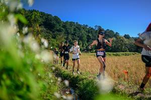 BIB: 
                            <button type="button" onclick="openModal(26575081)" class="btn btn-primary btn-sm float-right btn-popup" data-toggle="modal" data-target=".modal-high-quality">
                        <i class="fas fa-shopping-cart"></i> Add to Cart
                    </button>
                                            <button type="button" onclick="isThisMe(26575081, true)" class="btn btn-success btn-sm float-right btn-popup btn-isme hidden" data-toggle="tooltip" data-placement="bottom" title="นี่คือรูปของคุณใช่ไหม คลิกที่นี่เพื่อเอาเข้าอัลบั้ม">
                        <i class="fas fa-plus"></i> Add to album
                    </button>
                    <button type="button" onclick="isThisMe(26575081, false)" class="btn btn-warning btn-sm float-right btn-popup btn-isnotme hidden">
                        <i class="fas fa-ban"></i> Remove from album
                    </button>