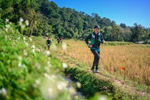 BIB: 
                            <button type="button" onclick="openModal(26576390)" class="btn btn-primary btn-sm float-right btn-popup" data-toggle="modal" data-target=".modal-high-quality">
                        <i class="fas fa-shopping-cart"></i> Add to Cart
                    </button>
                                            <button type="button" onclick="isThisMe(26576390, true)" class="btn btn-success btn-sm float-right btn-popup btn-isme hidden" data-toggle="tooltip" data-placement="bottom" title="นี่คือรูปของคุณใช่ไหม คลิกที่นี่เพื่อเอาเข้าอัลบั้ม">
                        <i class="fas fa-plus"></i> Add to album
                    </button>
                    <button type="button" onclick="isThisMe(26576390, false)" class="btn btn-warning btn-sm float-right btn-popup btn-isnotme hidden">
                        <i class="fas fa-ban"></i> Remove from album
                    </button>