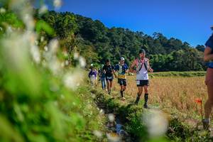 BIB: 
                            <button type="button" onclick="openModal(26573302)" class="btn btn-primary btn-sm float-right btn-popup" data-toggle="modal" data-target=".modal-high-quality">
                        <i class="fas fa-shopping-cart"></i> Add to Cart
                    </button>
                                            <button type="button" onclick="isThisMe(26573302, true)" class="btn btn-success btn-sm float-right btn-popup btn-isme hidden" data-toggle="tooltip" data-placement="bottom" title="นี่คือรูปของคุณใช่ไหม คลิกที่นี่เพื่อเอาเข้าอัลบั้ม">
                        <i class="fas fa-plus"></i> Add to album
                    </button>
                    <button type="button" onclick="isThisMe(26573302, false)" class="btn btn-warning btn-sm float-right btn-popup btn-isnotme hidden">
                        <i class="fas fa-ban"></i> Remove from album
                    </button>