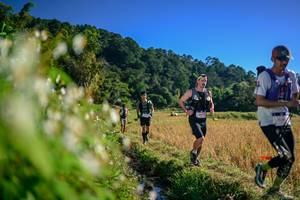 BIB: 
                            <button type="button" onclick="openModal(26571533)" class="btn btn-primary btn-sm float-right btn-popup" data-toggle="modal" data-target=".modal-high-quality">
                        <i class="fas fa-shopping-cart"></i> Add to Cart
                    </button>
                                            <button type="button" onclick="isThisMe(26571533, true)" class="btn btn-success btn-sm float-right btn-popup btn-isme hidden" data-toggle="tooltip" data-placement="bottom" title="นี่คือรูปของคุณใช่ไหม คลิกที่นี่เพื่อเอาเข้าอัลบั้ม">
                        <i class="fas fa-plus"></i> Add to album
                    </button>
                    <button type="button" onclick="isThisMe(26571533, false)" class="btn btn-warning btn-sm float-right btn-popup btn-isnotme hidden">
                        <i class="fas fa-ban"></i> Remove from album
                    </button>