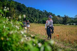 BIB: 
                            <button type="button" onclick="openModal(26581363)" class="btn btn-primary btn-sm float-right btn-popup" data-toggle="modal" data-target=".modal-high-quality">
                        <i class="fas fa-shopping-cart"></i> Add to Cart
                    </button>
                                            <button type="button" onclick="isThisMe(26581363, true)" class="btn btn-success btn-sm float-right btn-popup btn-isme hidden" data-toggle="tooltip" data-placement="bottom" title="นี่คือรูปของคุณใช่ไหม คลิกที่นี่เพื่อเอาเข้าอัลบั้ม">
                        <i class="fas fa-plus"></i> Add to album
                    </button>
                    <button type="button" onclick="isThisMe(26581363, false)" class="btn btn-warning btn-sm float-right btn-popup btn-isnotme hidden">
                        <i class="fas fa-ban"></i> Remove from album
                    </button>