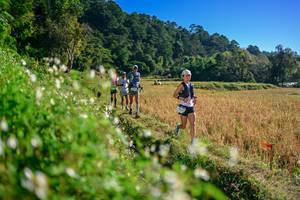 BIB: 
                            <button type="button" onclick="openModal(26571358)" class="btn btn-primary btn-sm float-right btn-popup" data-toggle="modal" data-target=".modal-high-quality">
                        <i class="fas fa-shopping-cart"></i> Add to Cart
                    </button>
                                            <button type="button" onclick="isThisMe(26571358, true)" class="btn btn-success btn-sm float-right btn-popup btn-isme hidden" data-toggle="tooltip" data-placement="bottom" title="นี่คือรูปของคุณใช่ไหม คลิกที่นี่เพื่อเอาเข้าอัลบั้ม">
                        <i class="fas fa-plus"></i> Add to album
                    </button>
                    <button type="button" onclick="isThisMe(26571358, false)" class="btn btn-warning btn-sm float-right btn-popup btn-isnotme hidden">
                        <i class="fas fa-ban"></i> Remove from album
                    </button>