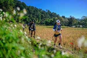 BIB: 
                            <button type="button" onclick="openModal(26576560)" class="btn btn-primary btn-sm float-right btn-popup" data-toggle="modal" data-target=".modal-high-quality">
                        <i class="fas fa-shopping-cart"></i> Add to Cart
                    </button>
                                            <button type="button" onclick="isThisMe(26576560, true)" class="btn btn-success btn-sm float-right btn-popup btn-isme hidden" data-toggle="tooltip" data-placement="bottom" title="นี่คือรูปของคุณใช่ไหม คลิกที่นี่เพื่อเอาเข้าอัลบั้ม">
                        <i class="fas fa-plus"></i> Add to album
                    </button>
                    <button type="button" onclick="isThisMe(26576560, false)" class="btn btn-warning btn-sm float-right btn-popup btn-isnotme hidden">
                        <i class="fas fa-ban"></i> Remove from album
                    </button>