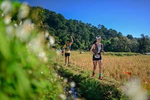 BIB: 
                            <button type="button" onclick="openModal(26571938)" class="btn btn-primary btn-sm float-right btn-popup" data-toggle="modal" data-target=".modal-high-quality">
                        <i class="fas fa-shopping-cart"></i> Add to Cart
                    </button>
                                            <button type="button" onclick="isThisMe(26571938, true)" class="btn btn-success btn-sm float-right btn-popup btn-isme hidden" data-toggle="tooltip" data-placement="bottom" title="นี่คือรูปของคุณใช่ไหม คลิกที่นี่เพื่อเอาเข้าอัลบั้ม">
                        <i class="fas fa-plus"></i> Add to album
                    </button>
                    <button type="button" onclick="isThisMe(26571938, false)" class="btn btn-warning btn-sm float-right btn-popup btn-isnotme hidden">
                        <i class="fas fa-ban"></i> Remove from album
                    </button>