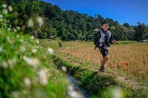 BIB: 
                            <button type="button" onclick="openModal(26582550)" class="btn btn-primary btn-sm float-right btn-popup" data-toggle="modal" data-target=".modal-high-quality">
                        <i class="fas fa-shopping-cart"></i> Add to Cart
                    </button>
                                            <button type="button" onclick="isThisMe(26582550, true)" class="btn btn-success btn-sm float-right btn-popup btn-isme hidden" data-toggle="tooltip" data-placement="bottom" title="นี่คือรูปของคุณใช่ไหม คลิกที่นี่เพื่อเอาเข้าอัลบั้ม">
                        <i class="fas fa-plus"></i> Add to album
                    </button>
                    <button type="button" onclick="isThisMe(26582550, false)" class="btn btn-warning btn-sm float-right btn-popup btn-isnotme hidden">
                        <i class="fas fa-ban"></i> Remove from album
                    </button>