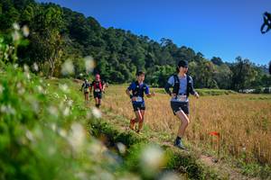 BIB: 
                            <button type="button" onclick="openModal(26576107)" class="btn btn-primary btn-sm float-right btn-popup" data-toggle="modal" data-target=".modal-high-quality">
                        <i class="fas fa-shopping-cart"></i> Add to Cart
                    </button>
                                            <button type="button" onclick="isThisMe(26576107, true)" class="btn btn-success btn-sm float-right btn-popup btn-isme hidden" data-toggle="tooltip" data-placement="bottom" title="นี่คือรูปของคุณใช่ไหม คลิกที่นี่เพื่อเอาเข้าอัลบั้ม">
                        <i class="fas fa-plus"></i> Add to album
                    </button>
                    <button type="button" onclick="isThisMe(26576107, false)" class="btn btn-warning btn-sm float-right btn-popup btn-isnotme hidden">
                        <i class="fas fa-ban"></i> Remove from album
                    </button>