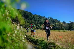 BIB: 
                            <button type="button" onclick="openModal(26580239)" class="btn btn-primary btn-sm float-right btn-popup" data-toggle="modal" data-target=".modal-high-quality">
                        <i class="fas fa-shopping-cart"></i> Add to Cart
                    </button>
                                            <button type="button" onclick="isThisMe(26580239, true)" class="btn btn-success btn-sm float-right btn-popup btn-isme hidden" data-toggle="tooltip" data-placement="bottom" title="นี่คือรูปของคุณใช่ไหม คลิกที่นี่เพื่อเอาเข้าอัลบั้ม">
                        <i class="fas fa-plus"></i> Add to album
                    </button>
                    <button type="button" onclick="isThisMe(26580239, false)" class="btn btn-warning btn-sm float-right btn-popup btn-isnotme hidden">
                        <i class="fas fa-ban"></i> Remove from album
                    </button>