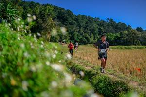 BIB: 
                            <button type="button" onclick="openModal(26582261)" class="btn btn-primary btn-sm float-right btn-popup" data-toggle="modal" data-target=".modal-high-quality">
                        <i class="fas fa-shopping-cart"></i> Add to Cart
                    </button>
                                            <button type="button" onclick="isThisMe(26582261, true)" class="btn btn-success btn-sm float-right btn-popup btn-isme hidden" data-toggle="tooltip" data-placement="bottom" title="นี่คือรูปของคุณใช่ไหม คลิกที่นี่เพื่อเอาเข้าอัลบั้ม">
                        <i class="fas fa-plus"></i> Add to album
                    </button>
                    <button type="button" onclick="isThisMe(26582261, false)" class="btn btn-warning btn-sm float-right btn-popup btn-isnotme hidden">
                        <i class="fas fa-ban"></i> Remove from album
                    </button>