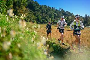 BIB: 
                            <button type="button" onclick="openModal(26571004)" class="btn btn-primary btn-sm float-right btn-popup" data-toggle="modal" data-target=".modal-high-quality">
                        <i class="fas fa-shopping-cart"></i> Add to Cart
                    </button>
                                            <button type="button" onclick="isThisMe(26571004, true)" class="btn btn-success btn-sm float-right btn-popup btn-isme hidden" data-toggle="tooltip" data-placement="bottom" title="นี่คือรูปของคุณใช่ไหม คลิกที่นี่เพื่อเอาเข้าอัลบั้ม">
                        <i class="fas fa-plus"></i> Add to album
                    </button>
                    <button type="button" onclick="isThisMe(26571004, false)" class="btn btn-warning btn-sm float-right btn-popup btn-isnotme hidden">
                        <i class="fas fa-ban"></i> Remove from album
                    </button>