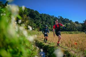 BIB: 
                            <button type="button" onclick="openModal(26573661)" class="btn btn-primary btn-sm float-right btn-popup" data-toggle="modal" data-target=".modal-high-quality">
                        <i class="fas fa-shopping-cart"></i> Add to Cart
                    </button>
                                            <button type="button" onclick="isThisMe(26573661, true)" class="btn btn-success btn-sm float-right btn-popup btn-isme hidden" data-toggle="tooltip" data-placement="bottom" title="นี่คือรูปของคุณใช่ไหม คลิกที่นี่เพื่อเอาเข้าอัลบั้ม">
                        <i class="fas fa-plus"></i> Add to album
                    </button>
                    <button type="button" onclick="isThisMe(26573661, false)" class="btn btn-warning btn-sm float-right btn-popup btn-isnotme hidden">
                        <i class="fas fa-ban"></i> Remove from album
                    </button>