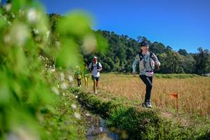 BIB: 
                            <button type="button" onclick="openModal(26580826)" class="btn btn-primary btn-sm float-right btn-popup" data-toggle="modal" data-target=".modal-high-quality">
                        <i class="fas fa-shopping-cart"></i> Add to Cart
                    </button>
                                            <button type="button" onclick="isThisMe(26580826, true)" class="btn btn-success btn-sm float-right btn-popup btn-isme hidden" data-toggle="tooltip" data-placement="bottom" title="นี่คือรูปของคุณใช่ไหม คลิกที่นี่เพื่อเอาเข้าอัลบั้ม">
                        <i class="fas fa-plus"></i> Add to album
                    </button>
                    <button type="button" onclick="isThisMe(26580826, false)" class="btn btn-warning btn-sm float-right btn-popup btn-isnotme hidden">
                        <i class="fas fa-ban"></i> Remove from album
                    </button>