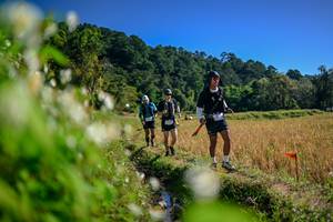 BIB: 
                            <button type="button" onclick="openModal(26574254)" class="btn btn-primary btn-sm float-right btn-popup" data-toggle="modal" data-target=".modal-high-quality">
                        <i class="fas fa-shopping-cart"></i> Add to Cart
                    </button>
                                            <button type="button" onclick="isThisMe(26574254, true)" class="btn btn-success btn-sm float-right btn-popup btn-isme hidden" data-toggle="tooltip" data-placement="bottom" title="นี่คือรูปของคุณใช่ไหม คลิกที่นี่เพื่อเอาเข้าอัลบั้ม">
                        <i class="fas fa-plus"></i> Add to album
                    </button>
                    <button type="button" onclick="isThisMe(26574254, false)" class="btn btn-warning btn-sm float-right btn-popup btn-isnotme hidden">
                        <i class="fas fa-ban"></i> Remove from album
                    </button>