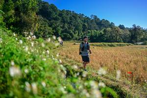 BIB: 
                            <button type="button" onclick="openModal(26571326)" class="btn btn-primary btn-sm float-right btn-popup" data-toggle="modal" data-target=".modal-high-quality">
                        <i class="fas fa-shopping-cart"></i> Add to Cart
                    </button>
                                            <button type="button" onclick="isThisMe(26571326, true)" class="btn btn-success btn-sm float-right btn-popup btn-isme hidden" data-toggle="tooltip" data-placement="bottom" title="นี่คือรูปของคุณใช่ไหม คลิกที่นี่เพื่อเอาเข้าอัลบั้ม">
                        <i class="fas fa-plus"></i> Add to album
                    </button>
                    <button type="button" onclick="isThisMe(26571326, false)" class="btn btn-warning btn-sm float-right btn-popup btn-isnotme hidden">
                        <i class="fas fa-ban"></i> Remove from album
                    </button>