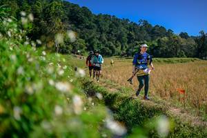 BIB: 
                            <button type="button" onclick="openModal(26582485)" class="btn btn-primary btn-sm float-right btn-popup" data-toggle="modal" data-target=".modal-high-quality">
                        <i class="fas fa-shopping-cart"></i> Add to Cart
                    </button>
                                            <button type="button" onclick="isThisMe(26582485, true)" class="btn btn-success btn-sm float-right btn-popup btn-isme hidden" data-toggle="tooltip" data-placement="bottom" title="นี่คือรูปของคุณใช่ไหม คลิกที่นี่เพื่อเอาเข้าอัลบั้ม">
                        <i class="fas fa-plus"></i> Add to album
                    </button>
                    <button type="button" onclick="isThisMe(26582485, false)" class="btn btn-warning btn-sm float-right btn-popup btn-isnotme hidden">
                        <i class="fas fa-ban"></i> Remove from album
                    </button>