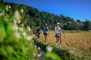 BIB: 
                            <button type="button" onclick="openModal(26575495)" class="btn btn-primary btn-sm float-right btn-popup" data-toggle="modal" data-target=".modal-high-quality">
                        <i class="fas fa-shopping-cart"></i> Add to Cart
                    </button>
                                            <button type="button" onclick="isThisMe(26575495, true)" class="btn btn-success btn-sm float-right btn-popup btn-isme hidden" data-toggle="tooltip" data-placement="bottom" title="นี่คือรูปของคุณใช่ไหม คลิกที่นี่เพื่อเอาเข้าอัลบั้ม">
                        <i class="fas fa-plus"></i> Add to album
                    </button>
                    <button type="button" onclick="isThisMe(26575495, false)" class="btn btn-warning btn-sm float-right btn-popup btn-isnotme hidden">
                        <i class="fas fa-ban"></i> Remove from album
                    </button>