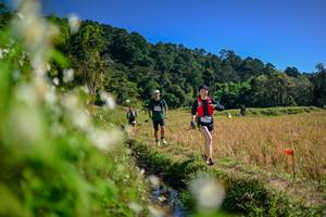 BIB: 
                            <button type="button" onclick="openModal(26575282)" class="btn btn-primary btn-sm float-right btn-popup" data-toggle="modal" data-target=".modal-high-quality">
                        <i class="fas fa-shopping-cart"></i> Add to Cart
                    </button>
                                            <button type="button" onclick="isThisMe(26575282, true)" class="btn btn-success btn-sm float-right btn-popup btn-isme hidden" data-toggle="tooltip" data-placement="bottom" title="นี่คือรูปของคุณใช่ไหม คลิกที่นี่เพื่อเอาเข้าอัลบั้ม">
                        <i class="fas fa-plus"></i> Add to album
                    </button>
                    <button type="button" onclick="isThisMe(26575282, false)" class="btn btn-warning btn-sm float-right btn-popup btn-isnotme hidden">
                        <i class="fas fa-ban"></i> Remove from album
                    </button>