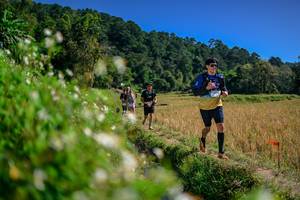 BIB: 
                            <button type="button" onclick="openModal(26582143)" class="btn btn-primary btn-sm float-right btn-popup" data-toggle="modal" data-target=".modal-high-quality">
                        <i class="fas fa-shopping-cart"></i> Add to Cart
                    </button>
                                            <button type="button" onclick="isThisMe(26582143, true)" class="btn btn-success btn-sm float-right btn-popup btn-isme hidden" data-toggle="tooltip" data-placement="bottom" title="นี่คือรูปของคุณใช่ไหม คลิกที่นี่เพื่อเอาเข้าอัลบั้ม">
                        <i class="fas fa-plus"></i> Add to album
                    </button>
                    <button type="button" onclick="isThisMe(26582143, false)" class="btn btn-warning btn-sm float-right btn-popup btn-isnotme hidden">
                        <i class="fas fa-ban"></i> Remove from album
                    </button>