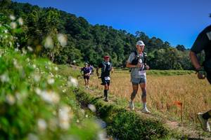 BIB: 
                            <button type="button" onclick="openModal(26582908)" class="btn btn-primary btn-sm float-right btn-popup" data-toggle="modal" data-target=".modal-high-quality">
                        <i class="fas fa-shopping-cart"></i> Add to Cart
                    </button>
                                            <button type="button" onclick="isThisMe(26582908, true)" class="btn btn-success btn-sm float-right btn-popup btn-isme hidden" data-toggle="tooltip" data-placement="bottom" title="นี่คือรูปของคุณใช่ไหม คลิกที่นี่เพื่อเอาเข้าอัลบั้ม">
                        <i class="fas fa-plus"></i> Add to album
                    </button>
                    <button type="button" onclick="isThisMe(26582908, false)" class="btn btn-warning btn-sm float-right btn-popup btn-isnotme hidden">
                        <i class="fas fa-ban"></i> Remove from album
                    </button>