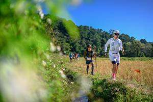 BIB: 
                            <button type="button" onclick="openModal(26581168)" class="btn btn-primary btn-sm float-right btn-popup" data-toggle="modal" data-target=".modal-high-quality">
                        <i class="fas fa-shopping-cart"></i> Add to Cart
                    </button>
                                            <button type="button" onclick="isThisMe(26581168, true)" class="btn btn-success btn-sm float-right btn-popup btn-isme hidden" data-toggle="tooltip" data-placement="bottom" title="นี่คือรูปของคุณใช่ไหม คลิกที่นี่เพื่อเอาเข้าอัลบั้ม">
                        <i class="fas fa-plus"></i> Add to album
                    </button>
                    <button type="button" onclick="isThisMe(26581168, false)" class="btn btn-warning btn-sm float-right btn-popup btn-isnotme hidden">
                        <i class="fas fa-ban"></i> Remove from album
                    </button>