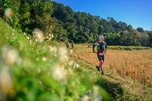 BIB: 
                            <button type="button" onclick="openModal(26570726)" class="btn btn-primary btn-sm float-right btn-popup" data-toggle="modal" data-target=".modal-high-quality">
                        <i class="fas fa-shopping-cart"></i> Add to Cart
                    </button>
                                            <button type="button" onclick="isThisMe(26570726, true)" class="btn btn-success btn-sm float-right btn-popup btn-isme hidden" data-toggle="tooltip" data-placement="bottom" title="นี่คือรูปของคุณใช่ไหม คลิกที่นี่เพื่อเอาเข้าอัลบั้ม">
                        <i class="fas fa-plus"></i> Add to album
                    </button>
                    <button type="button" onclick="isThisMe(26570726, false)" class="btn btn-warning btn-sm float-right btn-popup btn-isnotme hidden">
                        <i class="fas fa-ban"></i> Remove from album
                    </button>