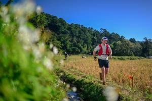 BIB: 
                            <button type="button" onclick="openModal(26572287)" class="btn btn-primary btn-sm float-right btn-popup" data-toggle="modal" data-target=".modal-high-quality">
                        <i class="fas fa-shopping-cart"></i> Add to Cart
                    </button>
                                            <button type="button" onclick="isThisMe(26572287, true)" class="btn btn-success btn-sm float-right btn-popup btn-isme hidden" data-toggle="tooltip" data-placement="bottom" title="นี่คือรูปของคุณใช่ไหม คลิกที่นี่เพื่อเอาเข้าอัลบั้ม">
                        <i class="fas fa-plus"></i> Add to album
                    </button>
                    <button type="button" onclick="isThisMe(26572287, false)" class="btn btn-warning btn-sm float-right btn-popup btn-isnotme hidden">
                        <i class="fas fa-ban"></i> Remove from album
                    </button>