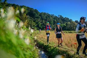 BIB: 
                            <button type="button" onclick="openModal(26571624)" class="btn btn-primary btn-sm float-right btn-popup" data-toggle="modal" data-target=".modal-high-quality">
                        <i class="fas fa-shopping-cart"></i> Add to Cart
                    </button>
                                            <button type="button" onclick="isThisMe(26571624, true)" class="btn btn-success btn-sm float-right btn-popup btn-isme hidden" data-toggle="tooltip" data-placement="bottom" title="นี่คือรูปของคุณใช่ไหม คลิกที่นี่เพื่อเอาเข้าอัลบั้ม">
                        <i class="fas fa-plus"></i> Add to album
                    </button>
                    <button type="button" onclick="isThisMe(26571624, false)" class="btn btn-warning btn-sm float-right btn-popup btn-isnotme hidden">
                        <i class="fas fa-ban"></i> Remove from album
                    </button>