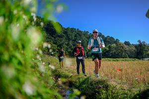 BIB: 
                            <button type="button" onclick="openModal(26579974)" class="btn btn-primary btn-sm float-right btn-popup" data-toggle="modal" data-target=".modal-high-quality">
                        <i class="fas fa-shopping-cart"></i> Add to Cart
                    </button>
                                            <button type="button" onclick="isThisMe(26579974, true)" class="btn btn-success btn-sm float-right btn-popup btn-isme hidden" data-toggle="tooltip" data-placement="bottom" title="นี่คือรูปของคุณใช่ไหม คลิกที่นี่เพื่อเอาเข้าอัลบั้ม">
                        <i class="fas fa-plus"></i> Add to album
                    </button>
                    <button type="button" onclick="isThisMe(26579974, false)" class="btn btn-warning btn-sm float-right btn-popup btn-isnotme hidden">
                        <i class="fas fa-ban"></i> Remove from album
                    </button>