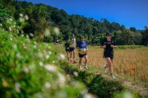 BIB: 
                            <button type="button" onclick="openModal(26582288)" class="btn btn-primary btn-sm float-right btn-popup" data-toggle="modal" data-target=".modal-high-quality">
                        <i class="fas fa-shopping-cart"></i> Add to Cart
                    </button>
                                            <button type="button" onclick="isThisMe(26582288, true)" class="btn btn-success btn-sm float-right btn-popup btn-isme hidden" data-toggle="tooltip" data-placement="bottom" title="นี่คือรูปของคุณใช่ไหม คลิกที่นี่เพื่อเอาเข้าอัลบั้ม">
                        <i class="fas fa-plus"></i> Add to album
                    </button>
                    <button type="button" onclick="isThisMe(26582288, false)" class="btn btn-warning btn-sm float-right btn-popup btn-isnotme hidden">
                        <i class="fas fa-ban"></i> Remove from album
                    </button>