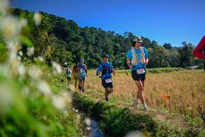 BIB: 
                            <button type="button" onclick="openModal(26574650)" class="btn btn-primary btn-sm float-right btn-popup" data-toggle="modal" data-target=".modal-high-quality">
                        <i class="fas fa-shopping-cart"></i> Add to Cart
                    </button>
                                            <button type="button" onclick="isThisMe(26574650, true)" class="btn btn-success btn-sm float-right btn-popup btn-isme hidden" data-toggle="tooltip" data-placement="bottom" title="นี่คือรูปของคุณใช่ไหม คลิกที่นี่เพื่อเอาเข้าอัลบั้ม">
                        <i class="fas fa-plus"></i> Add to album
                    </button>
                    <button type="button" onclick="isThisMe(26574650, false)" class="btn btn-warning btn-sm float-right btn-popup btn-isnotme hidden">
                        <i class="fas fa-ban"></i> Remove from album
                    </button>