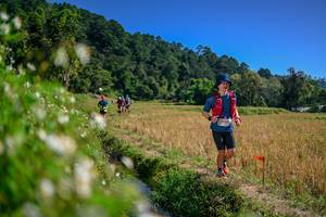 BIB: 
                            <button type="button" onclick="openModal(26582734)" class="btn btn-primary btn-sm float-right btn-popup" data-toggle="modal" data-target=".modal-high-quality">
                        <i class="fas fa-shopping-cart"></i> Add to Cart
                    </button>
                                            <button type="button" onclick="isThisMe(26582734, true)" class="btn btn-success btn-sm float-right btn-popup btn-isme hidden" data-toggle="tooltip" data-placement="bottom" title="นี่คือรูปของคุณใช่ไหม คลิกที่นี่เพื่อเอาเข้าอัลบั้ม">
                        <i class="fas fa-plus"></i> Add to album
                    </button>
                    <button type="button" onclick="isThisMe(26582734, false)" class="btn btn-warning btn-sm float-right btn-popup btn-isnotme hidden">
                        <i class="fas fa-ban"></i> Remove from album
                    </button>