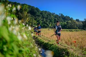 BIB: 
                            <button type="button" onclick="openModal(26571750)" class="btn btn-primary btn-sm float-right btn-popup" data-toggle="modal" data-target=".modal-high-quality">
                        <i class="fas fa-shopping-cart"></i> Add to Cart
                    </button>
                                            <button type="button" onclick="isThisMe(26571750, true)" class="btn btn-success btn-sm float-right btn-popup btn-isme hidden" data-toggle="tooltip" data-placement="bottom" title="นี่คือรูปของคุณใช่ไหม คลิกที่นี่เพื่อเอาเข้าอัลบั้ม">
                        <i class="fas fa-plus"></i> Add to album
                    </button>
                    <button type="button" onclick="isThisMe(26571750, false)" class="btn btn-warning btn-sm float-right btn-popup btn-isnotme hidden">
                        <i class="fas fa-ban"></i> Remove from album
                    </button>